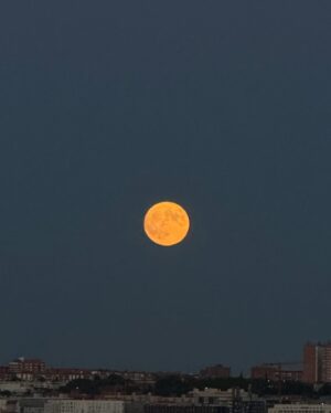 Carolina Yuste Instagram - Una reciprocidad 🌕