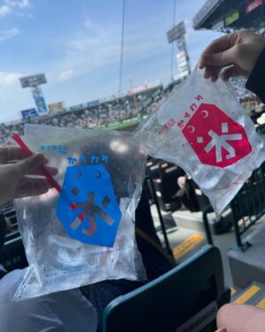 Chihiro Kawakami Instagram - 🏟️🧊

夏の甲子園名物
かちわり氷🧊🤍

先日出演させていただいたNHKラジオ
「祝100年！いとしの甲子園」のロケで取材させていただき
その伝統と愛されてきた歴史に触れて、今までより更に "かちわり氷" の魅力にハマりました。

今日、夏の高校野球 準決勝を観戦しに行ったので
かちわり氷を売り子さんから購入しました❄︎

朝から昼へと時間が進む度に暑さが増す甲子園にはかちわり氷は必須で、身体を冷やすアイシングの代わりにもなりますし、氷が溶けて水になると冷えてて美味しいし、氷も全部はなかなか溶けにくくて長時間持つし…

これは愛されるよな〜
としみじみ実感していました😌

また来年もかちわり氷を楽しめますように🧊✨

#夏の高校野球 #高校野球 
#甲子園 #阪神甲子園球場 #夏の甲子園
#かちわり氷 #必需品 #氷大好き