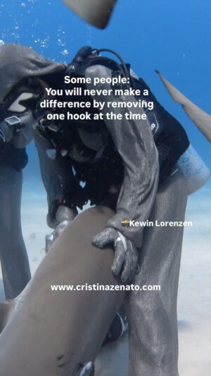 Cristina Zenato Instagram - Imagine if each one of us completed one good action per day, every time they have a chance instead of thinking that our single action will not make a difference.
It’s much easier to sit back and justify our lack of action because of the lack of others acting or the negative status of something we want to change.
We sit behind the “removing one hook won’t stop shark finning” “removing one hooks won’t save all the sharks in the world” or “it won’t convince big fishing companies to stop their destructive practices.”
Yet removing one hook makes a difference for that shark and the next one and the one following; it inspires one person to change the way they feel about sharks, the way they live their lives and relate to first the sharks, then the ocean, it may show them the right direction to follow for more changes, inspire them to take others with them, transfer what they learned.
These single actions, hooks, sharks and people become the ambassadors for many more.
Individuals have inspired changes in the world with their actions; they didn’t despair that they were one, the went after their convictions and with determination created a movement.
If I listened each time someone told me “you can’t” I wouldn’t be here; instead I replied “watch me.”
Video by @kewinlorenzen with @isotta_underwater_housings @neptunic_com