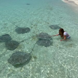 Danica Maksimović Instagram - Moja ljubav prema ražama zaslužuje da je podelim sa vama, dragi prijatelji! Verujem da ćete se složiti da bi bila šteta da ostanu u galeriji!

#maldives #ocean #blue #tirkiz #stingrays #stingrayfish #joy #travel #instagood
