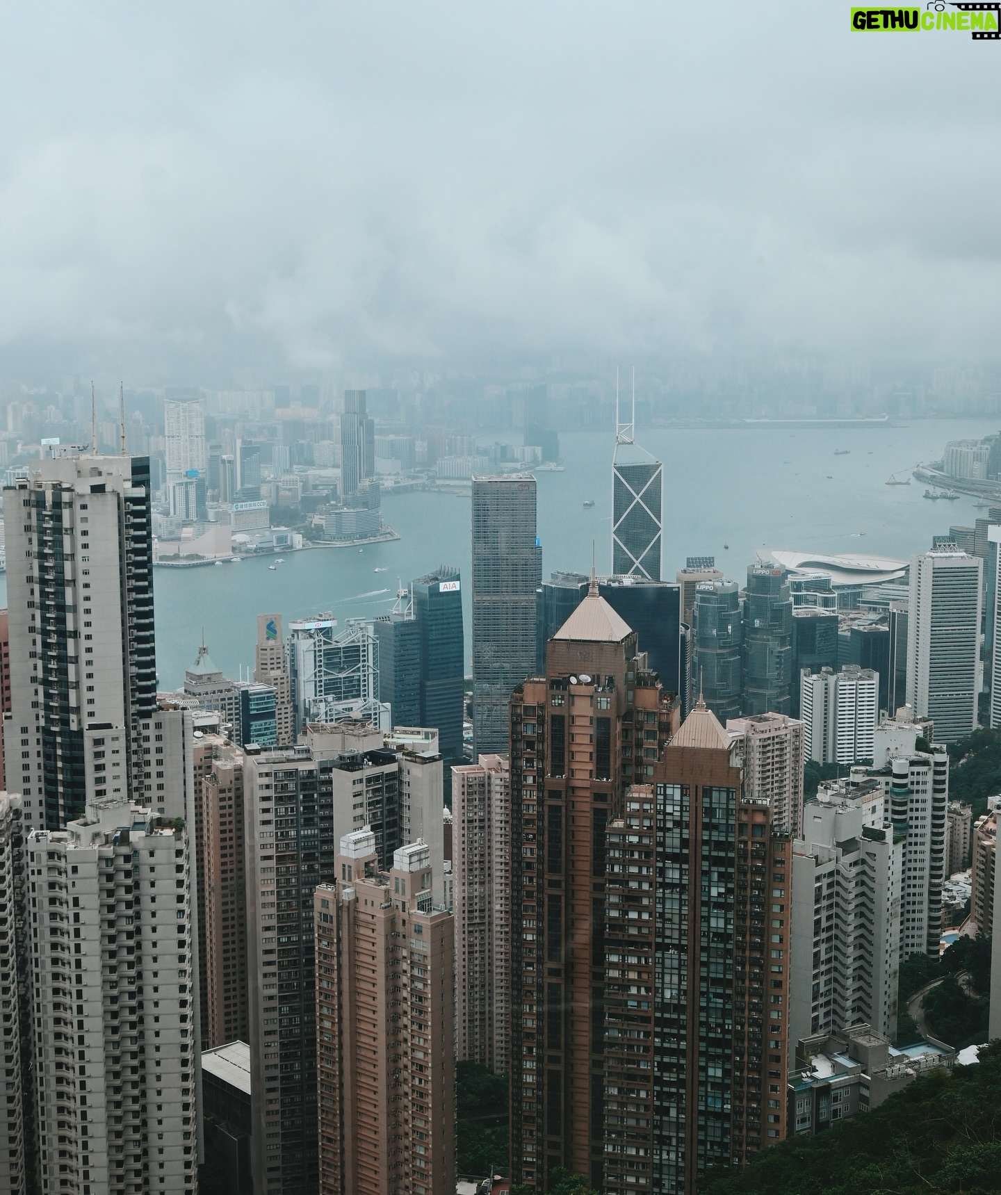 Dara Hanfman - 2.2K Likes - 香港山頂爬上來很漂亮⛰️
但老公下次我們可以坐纜車上山🙃
全身 @misshanfman
韓國的運動服真的很讚