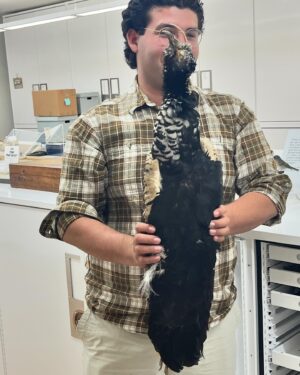 Daron Nefcy Instagram - I am forever delighted by looking through drawers of dead birds #moorelabofzoology ! Thanks for the invite! 🐦 🦆 🦜 @mlzbirds