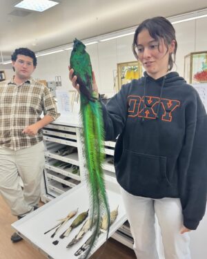 Daron Nefcy Instagram - I am forever delighted by looking through drawers of dead birds #moorelabofzoology ! Thanks for the invite! 🐦 🦆 🦜 @mlzbirds