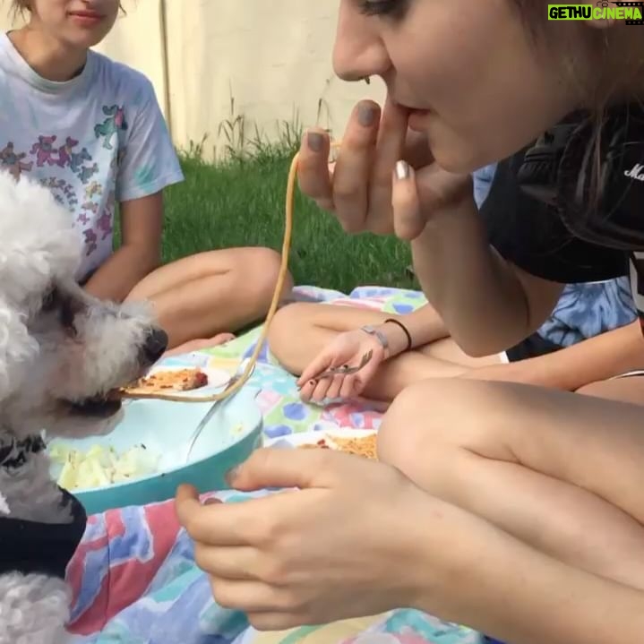 Daya - 5.7K Likes - My childhood dog of 16 years, Quincy, passed away yesterday. Quincy was the best listener and friend through some most beautiful & toughest moments of growing up. He had an unrelenting spirit that granted him more time with us than he should have had and kept him playing and chasing til the end. My dad summed it all up best (last slide). Love you forever Buddy, thank you for your loyalty, companionship, & spiritual guidance, I’m gonna miss you so much😢😢🥺❤️🔥❤️🔥❤️🔥🪽🪽