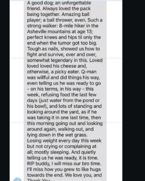 Daya Instagram - My childhood dog of 16 years, Quincy, passed away yesterday.  Quincy was the best listener and friend through some most beautiful & toughest moments of growing up. He had an unrelenting spirit that granted him more time with us than he should have had and kept him playing and chasing til the end. My dad summed it all up best (last slide). Love you forever Buddy, thank you for your loyalty, companionship, & spiritual guidance, I’m gonna miss you so much😢😢🥺❤️‍🔥❤️‍🔥❤️‍🔥🪽🪽