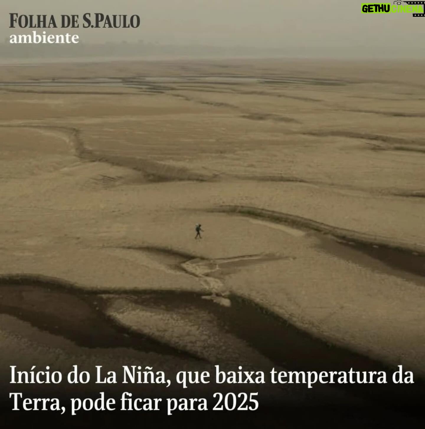 Débora Falabella - 13.7K Likes - #Repost @pauli_chamorro
・・・
Quase não tenho mais palavras.
A entrevista de Carlos Nobre, um dos principais climatologistas do mundo, ao dizer que “estou apavorado, ninguém previa isso. É muito rapido”. Fogo no Xingu, previsões do fim do Pantanal até 2050, seca sem precedentes no Brasil inteiro, pessoas isoladas pela seca dos rios, animais morrendo queimados, cidades intoxicadas.
O Oceano no Planeta inteiro aquecendo. Sabe o que significa? Aumento de secas e mais eventos extremos e mais fortes.
Muitas vozes no podcast nos explicam isso. Recomendo para quem.quiser entender como chegamos aqui.
@vozesdoplaneta.podcast
As artes são de @kitlayfield feitas na época da pandemia. E me impressionaram tanto.