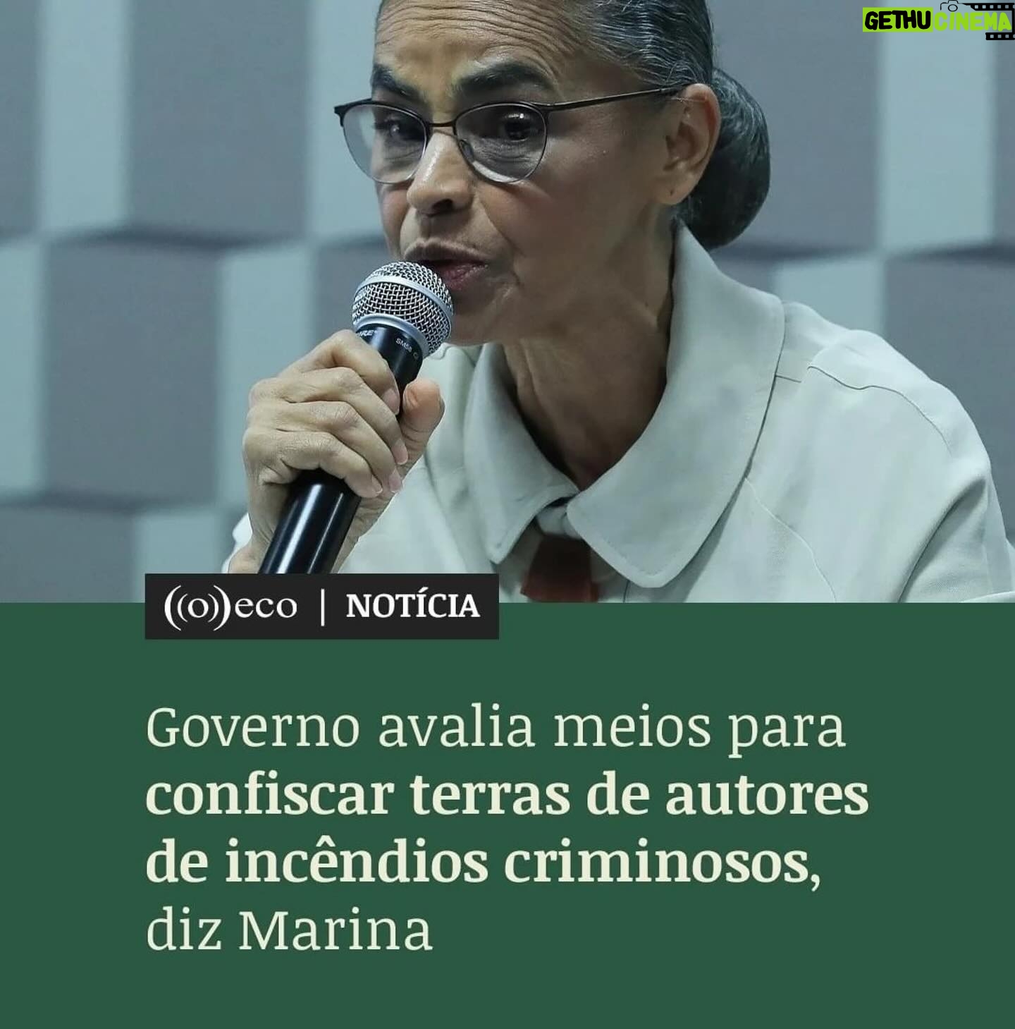 Débora Falabella - 13.7K Likes - #Repost @pauli_chamorro
・・・
Quase não tenho mais palavras.
A entrevista de Carlos Nobre, um dos principais climatologistas do mundo, ao dizer que “estou apavorado, ninguém previa isso. É muito rapido”. Fogo no Xingu, previsões do fim do Pantanal até 2050, seca sem precedentes no Brasil inteiro, pessoas isoladas pela seca dos rios, animais morrendo queimados, cidades intoxicadas.
O Oceano no Planeta inteiro aquecendo. Sabe o que significa? Aumento de secas e mais eventos extremos e mais fortes.
Muitas vozes no podcast nos explicam isso. Recomendo para quem.quiser entender como chegamos aqui.
@vozesdoplaneta.podcast
As artes são de @kitlayfield feitas na época da pandemia. E me impressionaram tanto.