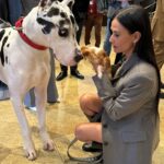 Demi Moore