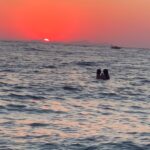 Deniz Arna