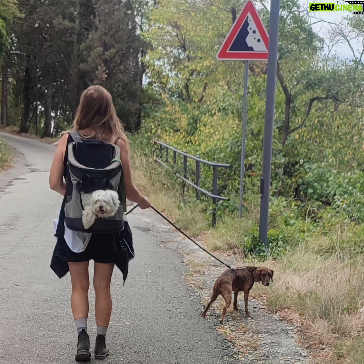 Elisa Di Eusanio - 1.4K Likes - Pensieri all' alba di una vacanza particolarmente riuscita 🌞
L' idea di scaraventarmi nel vortice della guerra al quotidiano appesantisce il mio respiro
Mi attende la bella Roma che tanto amo
ma che è diventata una fogna arrabbiata e violenta
Ho come la sensazione di dover indossare i guantoni e ricominciare a dare cazzotti
Il mio lavoro a cui ho consegnato tutta me stessa
Ma che ti obbliga costantemente alla competizione
Al dover essere scelte e preferite
Ma poi quali occhi si posano su di me?
Sono sguardi che mi interessano davvero?
È tempo che sia io a scegliere
So che esiste un' altra occasione per questo viaggio
Nuove possibilità tutte da scoprire
Il riconoscimento mi è ostile
La superficialità
La mancanza di cura
di empatia
Non è
non sarà il mio spazio questo
Sono lontana anni luce dall' ambizione
Muore un pezzo di noi ogni giorno
Per un attimo di materia in più
Sto cercando altro
E lo troverò 🌟
#instaeli