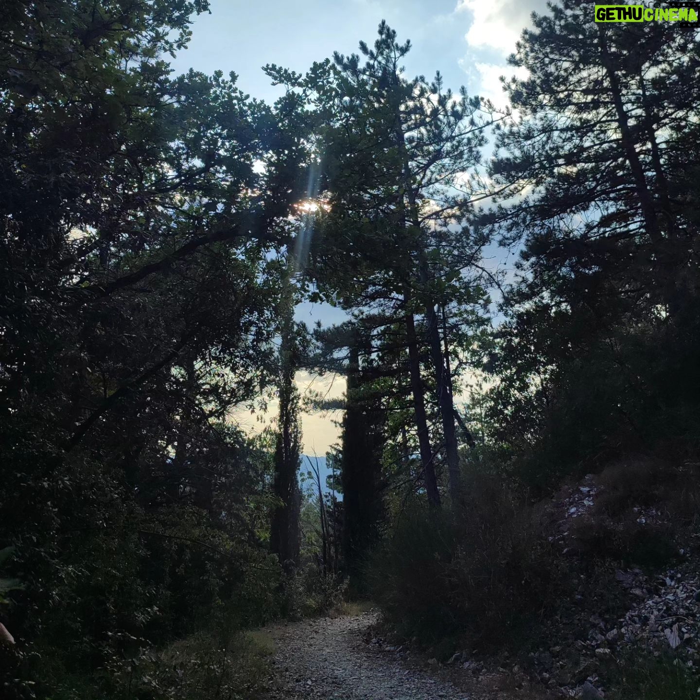 Elisa Di Eusanio - 1.4K Likes - Pensieri all' alba di una vacanza particolarmente riuscita 🌞
L' idea di scaraventarmi nel vortice della guerra al quotidiano appesantisce il mio respiro
Mi attende la bella Roma che tanto amo
ma che è diventata una fogna arrabbiata e violenta
Ho come la sensazione di dover indossare i guantoni e ricominciare a dare cazzotti
Il mio lavoro a cui ho consegnato tutta me stessa
Ma che ti obbliga costantemente alla competizione
Al dover essere scelte e preferite
Ma poi quali occhi si posano su di me?
Sono sguardi che mi interessano davvero?
È tempo che sia io a scegliere
So che esiste un' altra occasione per questo viaggio
Nuove possibilità tutte da scoprire
Il riconoscimento mi è ostile
La superficialità
La mancanza di cura
di empatia
Non è
non sarà il mio spazio questo
Sono lontana anni luce dall' ambizione
Muore un pezzo di noi ogni giorno
Per un attimo di materia in più
Sto cercando altro
E lo troverò 🌟
#instaeli