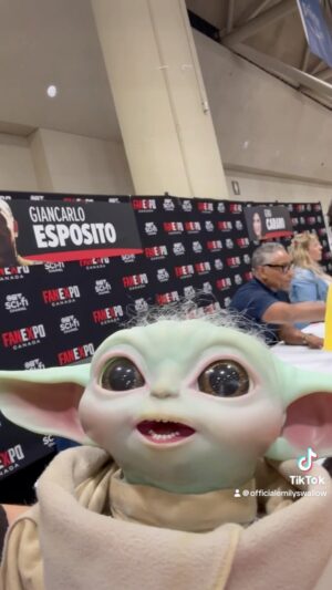 Emily Swallow Instagram - I can’t be responsible for what happens when these two are in the same room.

#babysittinggrogu #thisistheway #grogu #moffgideon #themandalorian #auntiearmorer #emilyswallow #ginacarloesposito #fanexpocanada #babysittersclub