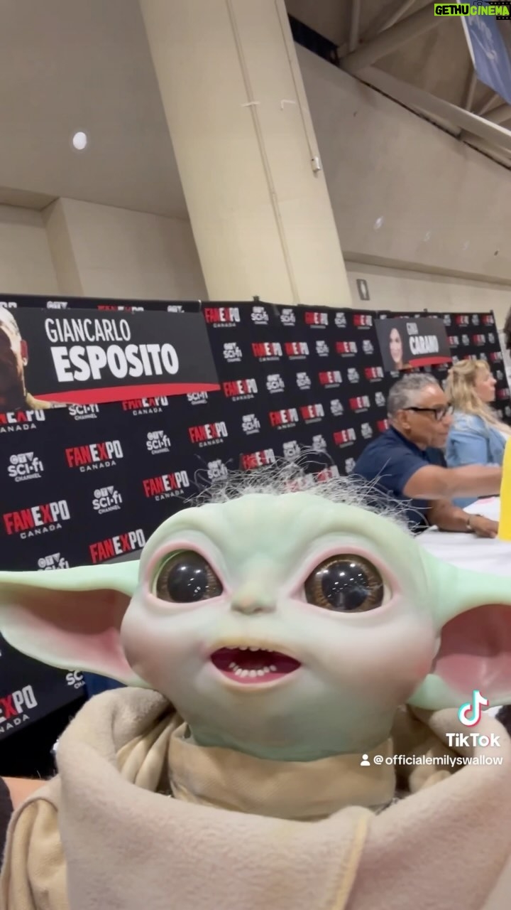 Emily Swallow - 5.2K Likes - I canβt be responsible for what happens when these two are in the same room.
#babysittinggrogu #thisistheway #grogu #moffgideon #themandalorian #auntiearmorer #emilyswallow #ginacarloesposito #fanexpocanada #babysittersclub