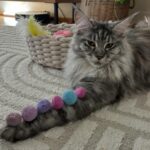 Evelina