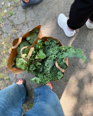 Filippa Rådin Instagram - Lördag och dags för Bondens Marknad! 🌻
Har du Bondens Marknad där du bor? Brukar du köpa lokalt producerad mat? Jag älskar att besöka marknaden och stötta våra lokala producenter. Det är helt fantastiskt att det finns människor som lägger ner så mycket tid och kärlek på att odla grönsaker och andra råvaror som vi kan få njuta av. Att handla här får mig att känna mig privilegierad och rik. 💚

#bondensmarknad #lokalproducerat #närproducerat #hållbarhet #matglädje #ekologisk #stöttalokalt #grönsaker #hållbart