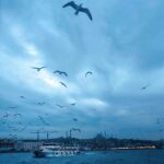 Filiz Ahmet
