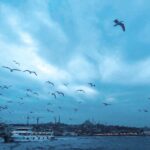 Filiz Ahmet