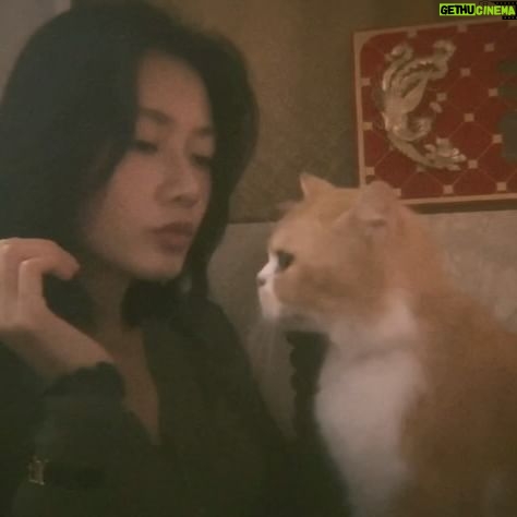 Fish Liew - 7K Likes - 一起生活8年的室友