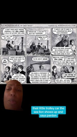 Franchesca Ramsey Instagram - Yesterday on TikTok I told the story of how someone I was once friendly with online made me feel deeply uncomfortable because he LAUGHED about the viral “man vs the bear” question. I tried to talk to this person offline & they ignored me. I’m still hurt & sad that when women talk about their experiences & are vulnerable we aren’t believed or treated with compassion. Right on cue a “sealion” showed up in my inbox. I’m sharing this because this is a DAILY experience for women & femme presenting folks online & IRL. You are allowed to say no. And you should say no to sealioning.