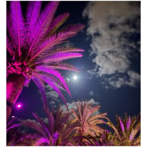 Frédérique Bel Instagram - #fullMoon @pachaofficial 🍒 @bedouin_official  #Dj #Ibiza 💃🏻