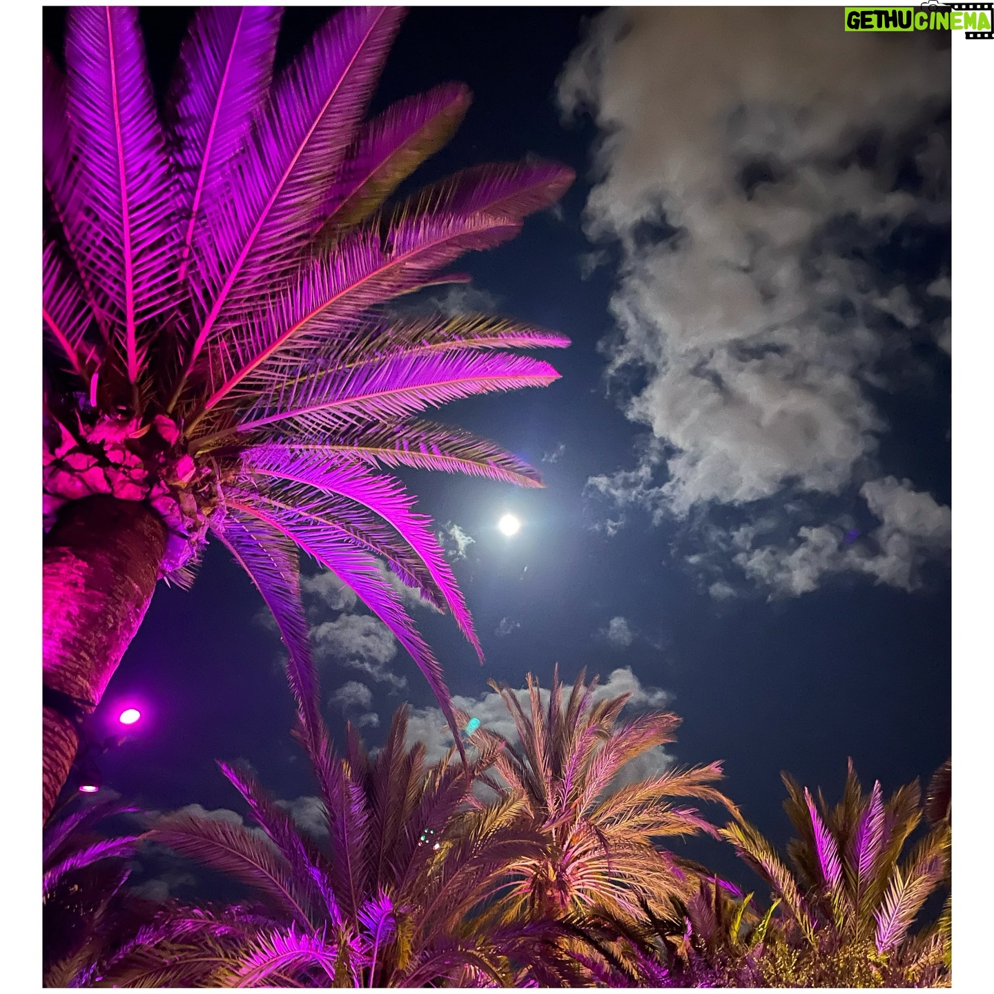 Frédérique Bel - 14.3K Likes - #fullMoon @pachaofficial 🍒 @bedouin_official #Dj #Ibiza 💃🏻