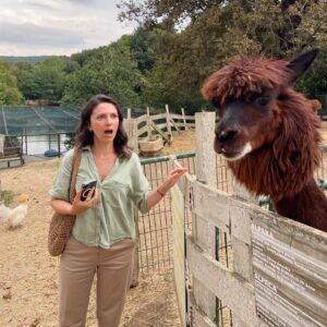 Funda Güray Instagram - Alpaka bestiemle her hafta düzenli buluşuruz diğerleri de çaya mutlaka uğrar 🫠🦙 

#animal #zoophotography #zoo #naturallife