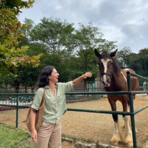 Funda Güray Instagram - Alpaka bestiemle her hafta düzenli buluşuruz diğerleri de çaya mutlaka uğrar 🫠🦙 

#animal #zoophotography #zoo #naturallife