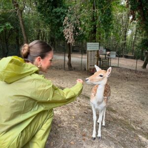 Funda Güray Instagram - Alpaka bestiemle her hafta düzenli buluşuruz diğerleri de çaya mutlaka uğrar 🫠🦙 

#animal #zoophotography #zoo #naturallife