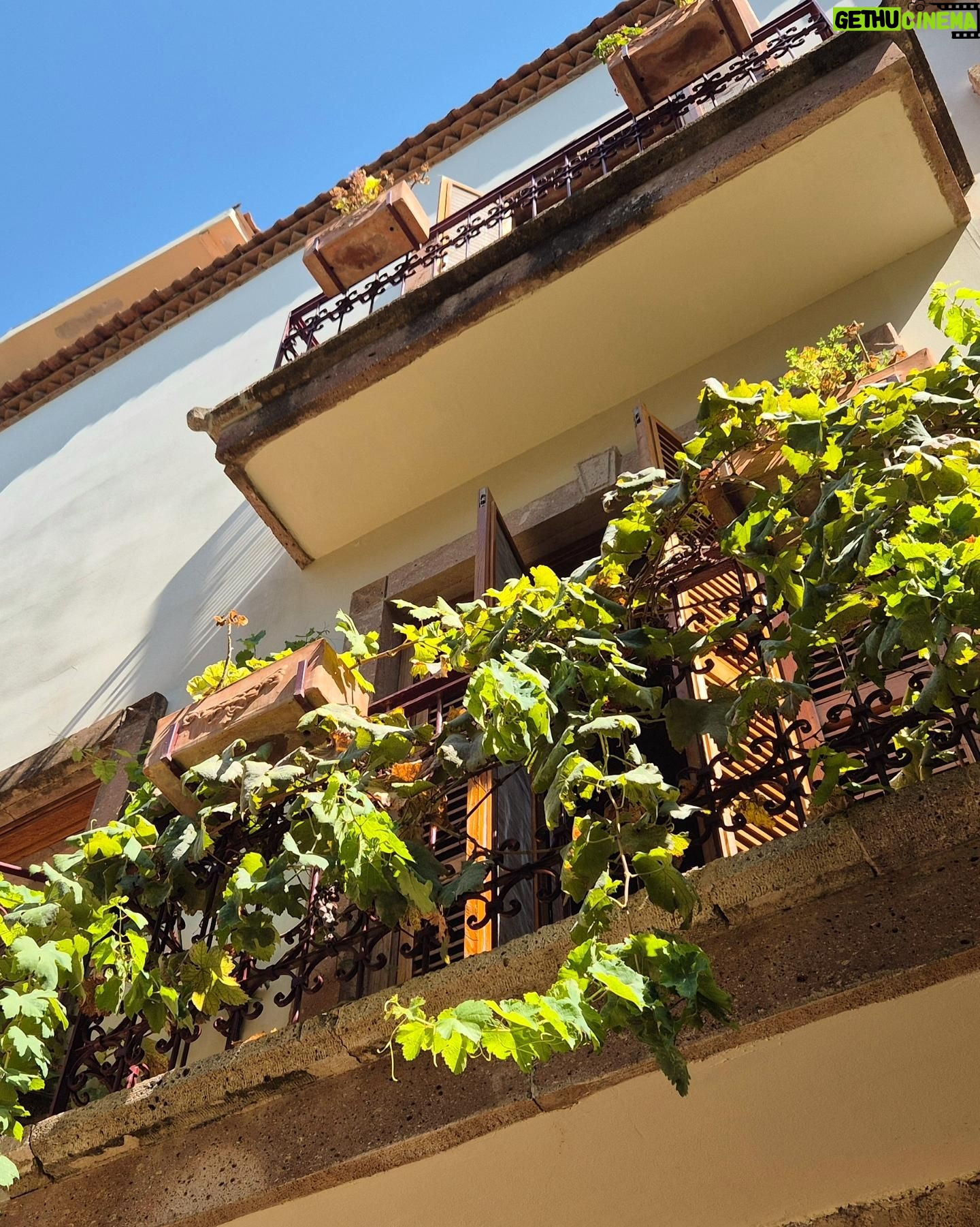 Goncagül Sunar - 3.4K Likes - Son yazlıklar 🌻✨️Toscana 😉
