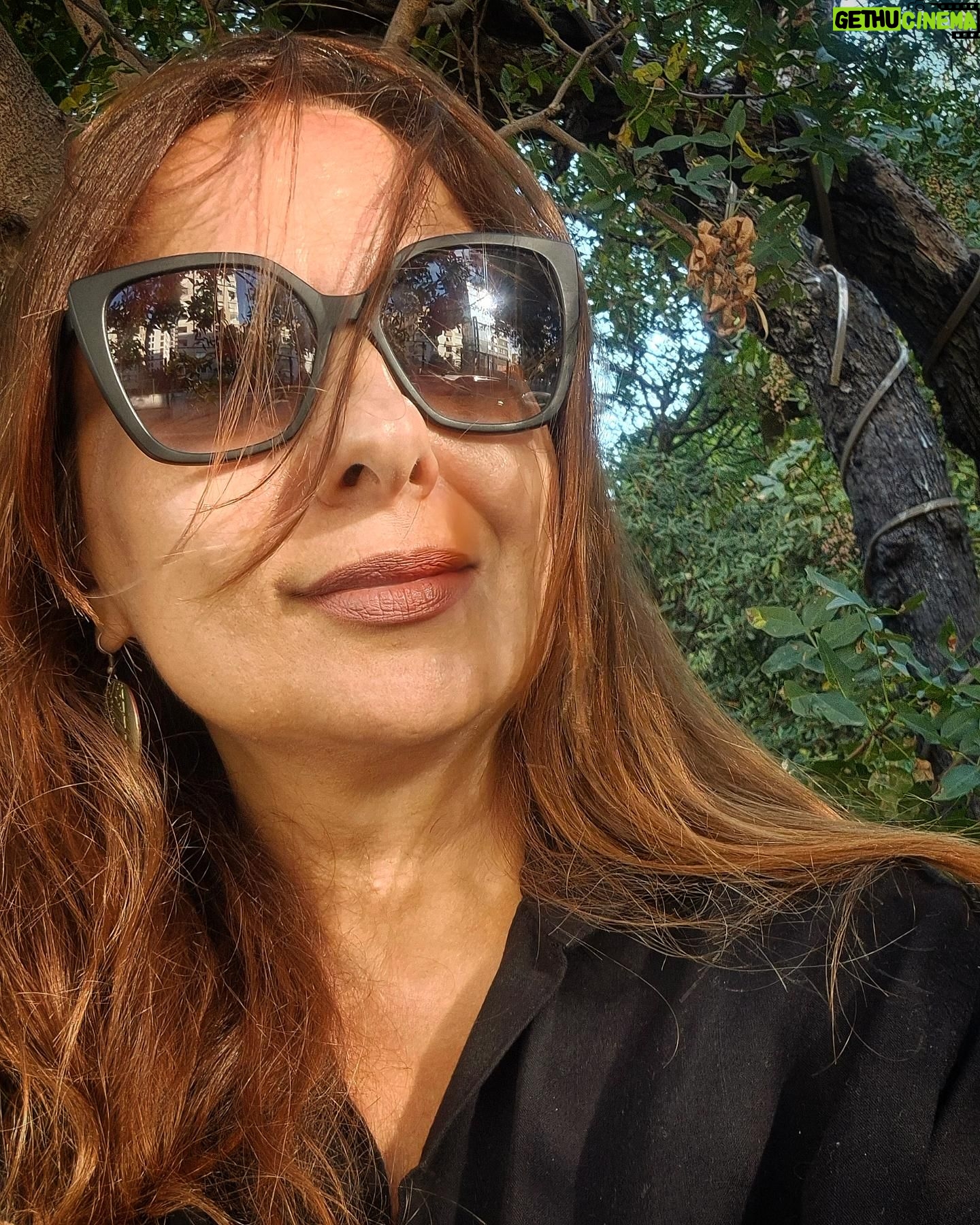 Goncagül Sunar - 4.3K Likes - Gelsin yeni yaş 🎈🎂 kutlu doğum haftası o zaman 😎🥳🥳