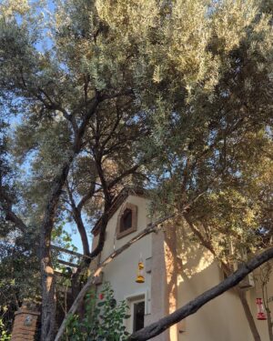 Goncagül Sunar Instagram - Son yazlıklar 🌻✨️Toscana 😉