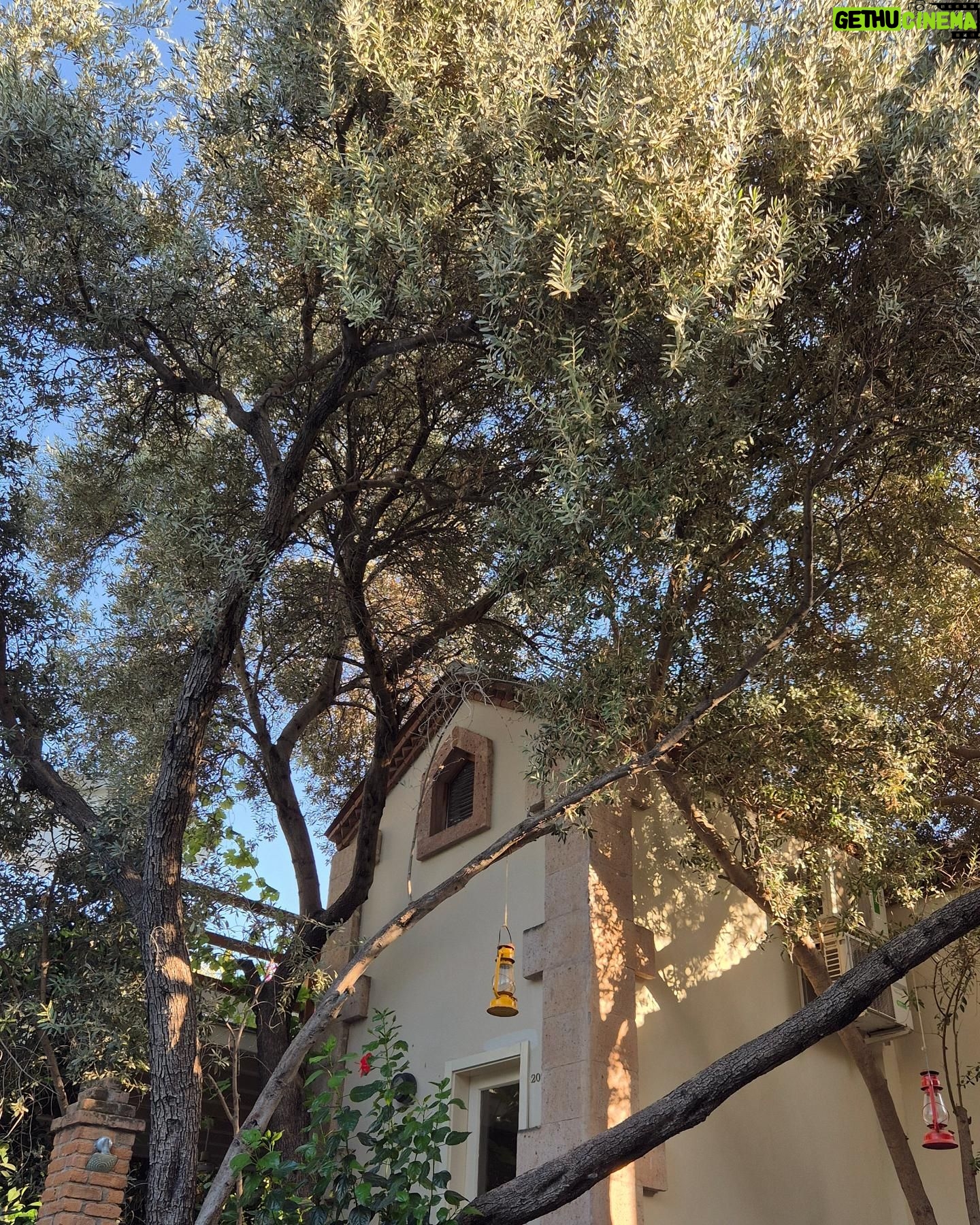 Goncagül Sunar - 3.4K Likes - Son yazlıklar 🌻✨️Toscana 😉