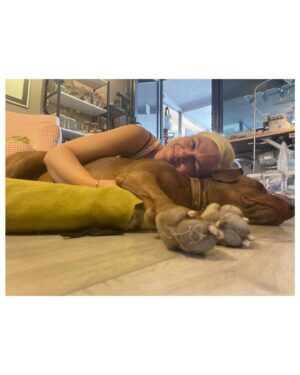 İpek Erdem Instagram - My sisters and my brothers… All my favorite colors🫶🏻✌🏼🤟🏾 

#colors #blackpumas #yaz #tatil #dostlar #deniz #doğa #yeniay #kedi #köpek #köpekleredokunma #kumsalda #tuzduman #gümüşlük #çeşme #sunset #belitişi #franky