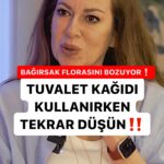İpek Tuzcuoğlu