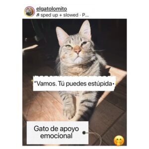 Actress Isabella Santodomingo HD Instagram Photos and Wallpapers September 2024