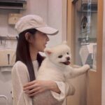 Ivy Shao