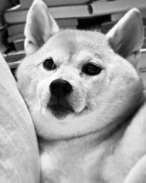JUJU Instagram - 