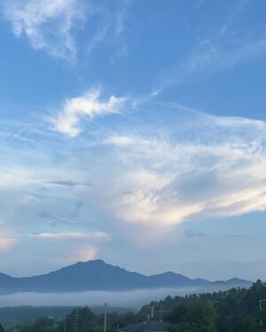 Jang Shin-young Instagram - 안녕하세요..장신영입니다..그동안 다들 건강히 잘지내셨죠?! 오랜만에 안부 전하는데 좋지 않은 소식 후에 인사드리게 되어 마음이 편치 않네요…우선 그동안 저희 가족을 아껴주시고 사랑해주셨던 모든 분들께 실망을 드린 점 죄송합니다.. 그보다  앞서 이 일로 피해를 보신 분들께 먼저 사과의 말씀 올립니다…저희에게 과분할 만큼 아낌없는 지지와응원을 보내주셨는데,그 따뜻하고커다란 마음을  저버린것 같아 너무 죄송할 따름입니다.. 그동안 시간이 어떻게 흘러가는지도 모른채,어두운 터널 같은 날들을 보냈습니다
어느 날은  지그시 눈을 감고 있는데 오랜만에 칮아온 고요와평화가 너무좋더군요 시간이 이대로 영원히 멈췄으면 좋겠다고 생각했습니다..그런데 그 고요를 뚫고 아이가 엄마 하고 저를  가만히 불렀습니다..순간 아이의 목소리와함께 정신이 번쩍 들었습니다
아..내가 주저 앉으면 안 되겠구나.우리 아이들 내가 지켜줘야지..아직 살아갈 날이 많은 소중한 나의 삶,그보다 더 소중한 아이들,지켜내야겠구나…가장힘든 시간을 보낸건 어쩌면 아이들이 였을겁니다.마음의 상처를 입히고 겪지 않아도 될 것을 경험하게 한 점 부모로써 한 없이 미안할따름입니다…
남편과 많은 이야기를 나눴습니다..수 없이 자책하고 반성했습니다.차마 글로 옮기기 어려운 고통의 시간을 보냈지만,저희는 오직 아이들을 위해 다시 한 가정 안에서 살아가려합니다.
무척 조심스럽지만,남편을 향한 지나친 비난은 자중해 주시길 부탁 드리겠습니다.혹시라도 아이들이 접하게 될까봐 걱정스럽습니다.양해 부탁드리겠습니다.이번일로 정말 많은 분들이 제게 위로와 응원을 보내주셨습니다.그 따뜻한 한마디 한마디가 저를 다시 일어설수 있게 했습니다..보내주신 모든분들께 진심으로 감사드립니다.. 다음에는 부디 좋은일로 웃으면서 인사드릴 수 있었으면합니다 ..
지금까지 긴 글 읽어주셔서 감사합니다..