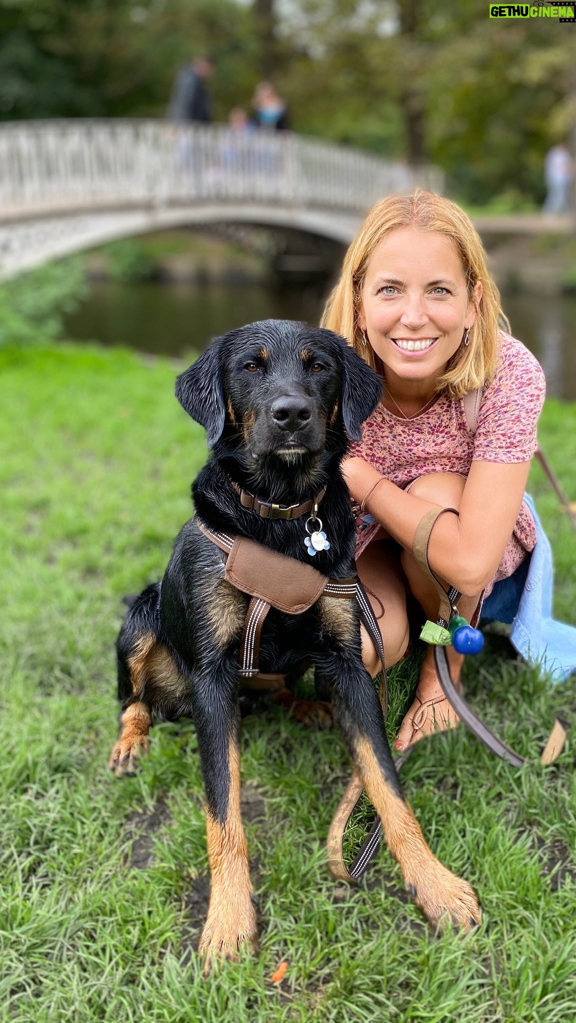 Jasmine Harman - 31.1K Likes - Happy heavenly birthday to our darling boy Jet, who would have been 5 today. Mummy loves you and we still miss you every day.
🐾🌈
Nothing can bring our beautiful boy back, but maybe our loss can help save another dog.
Please be aware that a ball can choke and kill your dog.
#rip #happybirthday #dogsofinstagram @jboasty_dop