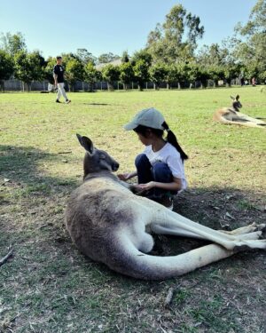 Jian Man-shu Instagram - 🦘🦘🦘
on our summer vacation 
#brisbane  #lonepine #kangaroo #wallaby #202408