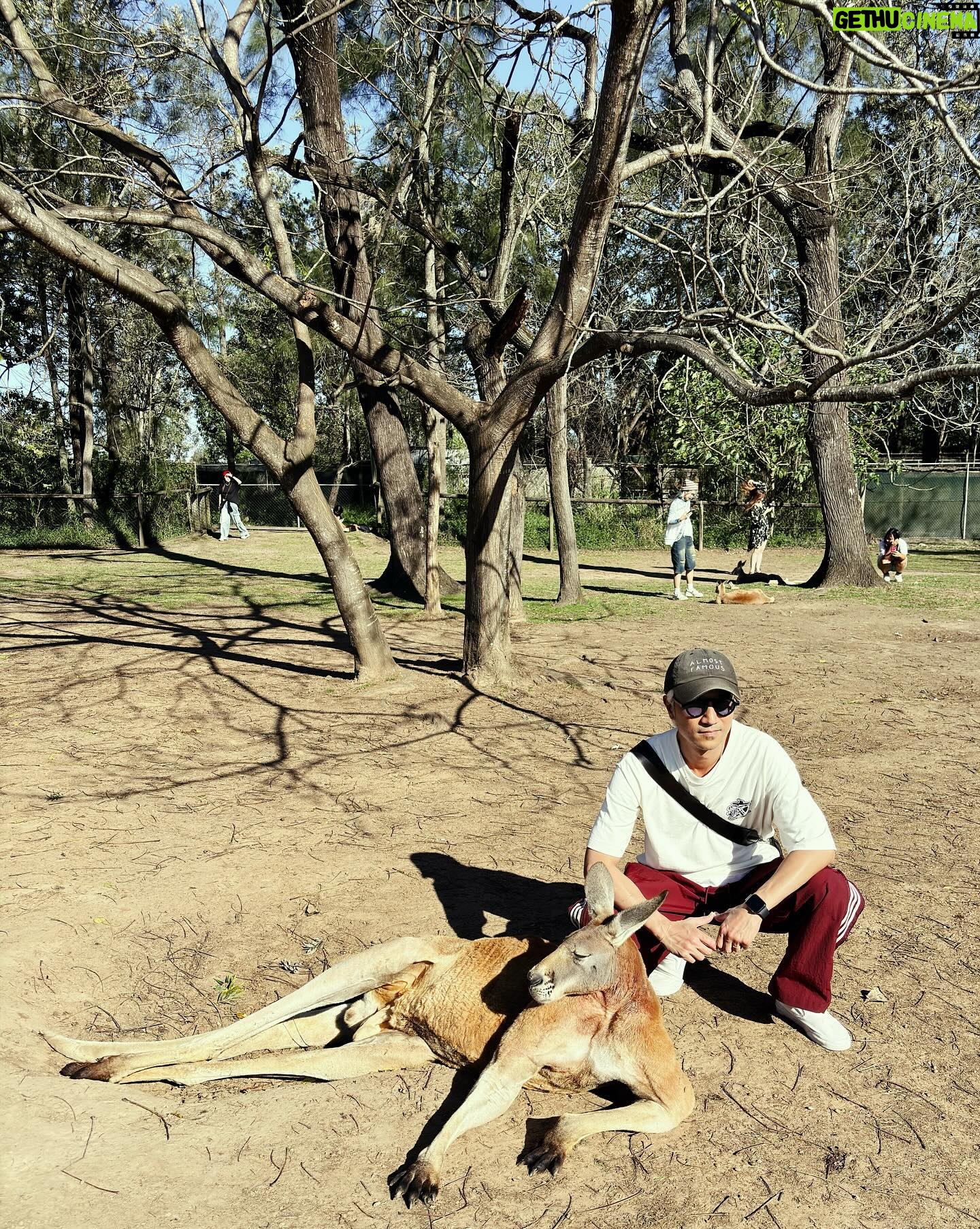 Jian Man-shu - 3.4K Likes - 🦘🦘🦘
on our summer vacation
#brisbane #lonepine #kangaroo #wallaby #202408