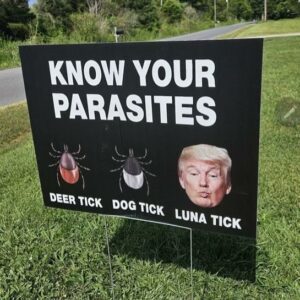 Jill Wine-Banks Instagram - We’ve had an infestation of oak mites so I lived this.