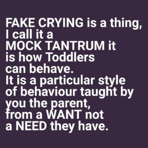 Jo Frost Instagram - Nuance matters.
We under estimate children, they learn from their carers, siblings, others in their environment. I just love and respect them so much. 🥰
So next time you witness a 'fake cry' smile to yourself, with a knowing, don't get mad,get understanding - Jo xx

#HelpingFamiliesShine💫 
Jofrost.com