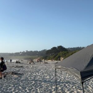 Joana Amaral Dias Instagram - #pacifgrove e toda a zona de #monterey e #carmelbythesea escolhidas como as segundas praias mais bonitas da #california 🌅, pelo Diniz e pela Luz. Daqui a pouco já revelamos as primeiras ☺️