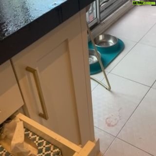 Josée Boudreault - 1.1K Likes - Au secours ! Je me suis fait attaqué par un drink sans alcool !