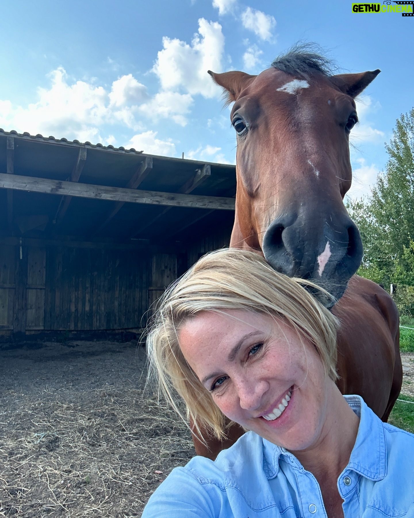Judith Rakers - 18K Likes - „Sag mal Hallo!“ - Charlie und Sazou endlich wieder zusammen 🐴🐴❤️❤️ #motherandson #charliechocolate #Hengstfohlen2021 #holsteinerhorse #sazoumeinmädchen #partnerincrime
