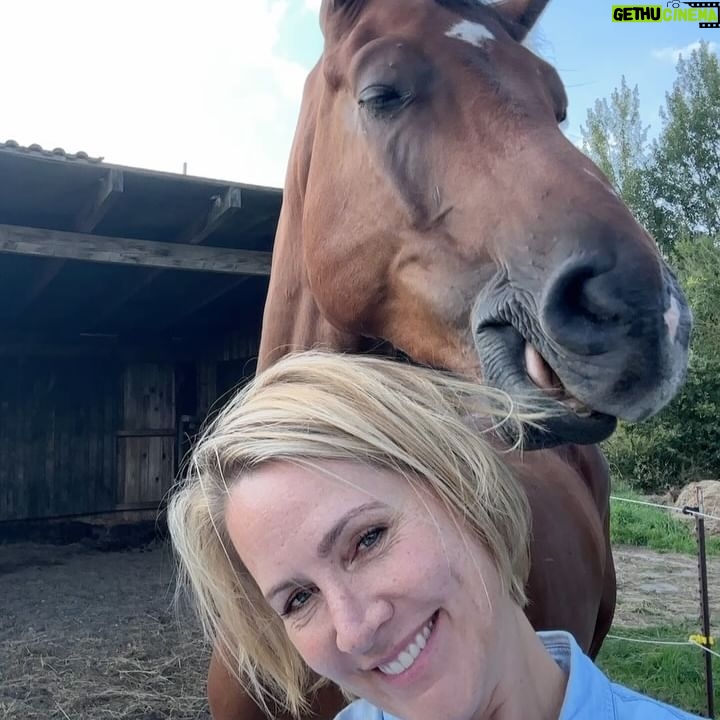 Judith Rakers - 18K Likes - „Sag mal Hallo!“ - Charlie und Sazou endlich wieder zusammen 🐴🐴❤️❤️ #motherandson #charliechocolate #Hengstfohlen2021 #holsteinerhorse #sazoumeinmädchen #partnerincrime