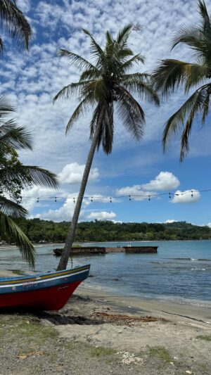 Kamila Rundusová Instagram - Family Trip. The beginning. Days 1&2. Caribbean side of Costa Rica. Puerto Viejo. 8,5 hours in a car from our home in Guanacaste. @robiczech