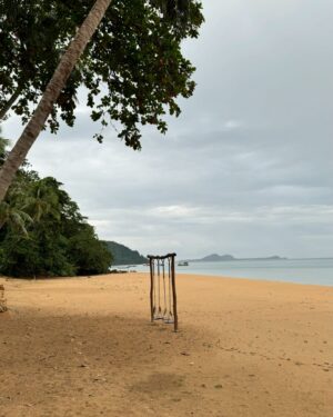 Kanyaphak Pongsak Instagram - 🌴