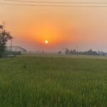 Kashish Rai
